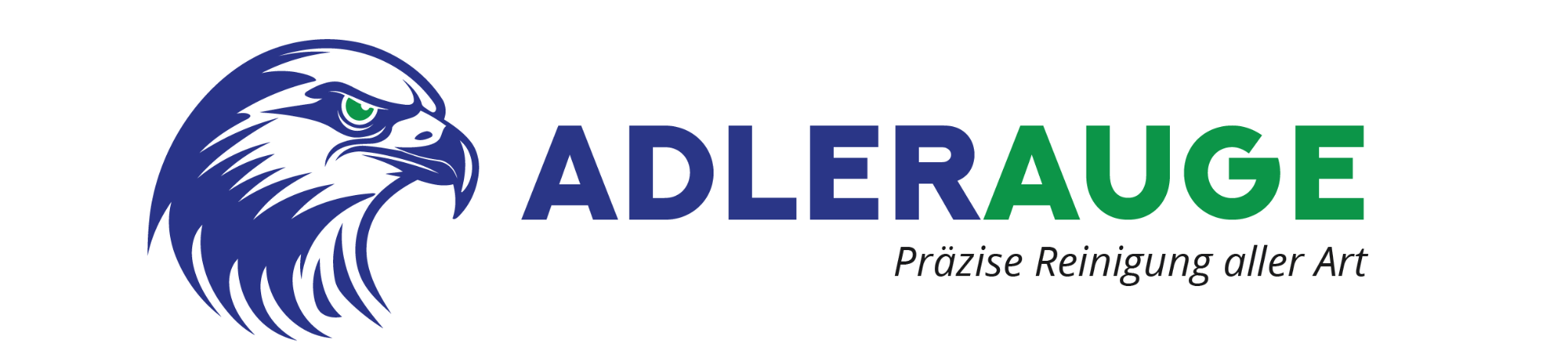 Adlerauge – Präzise Reinigung aller Art